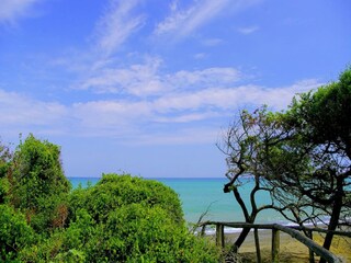 Casa de campo Montescudaio Entorno 14