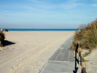Type de propriété : Ferme Montescudaio Environnement 15