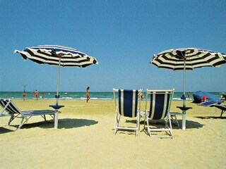 Casa de campo Montescudaio Entorno 17