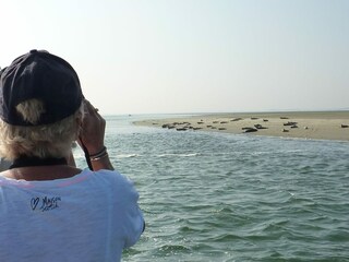 Vakantiepark Kortgene Omgeving 17