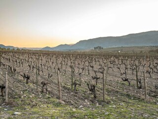 Holiday park Samões Environment 29