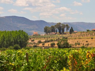 Parco vacanze Samões Ambiente 24