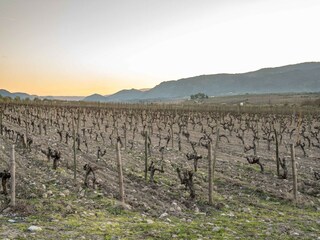 Vakantiepark Samões Omgeving 22