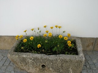 Parco vacanze Samões  30