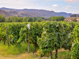 Parc de vacances Samões Environnement 26