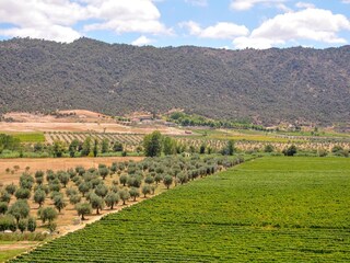 Holiday park Samões Environment 26