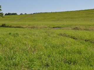 Deich bei Hundewiese 40 m vom Haus entfernt