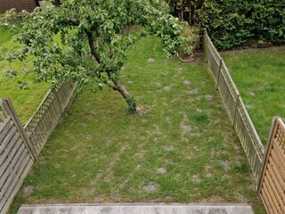 Blick auf den Garten