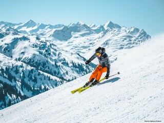 Appartement Westendorf Environnement 16