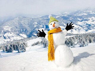 Vakantiepark St. Lorenzen ob Murau Omgeving 33