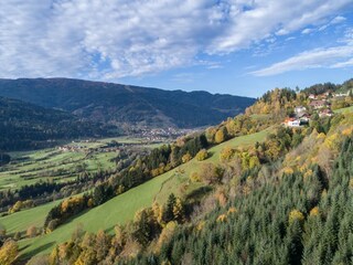 Vakantiepark St. Lorenzen ob Murau Omgeving 19