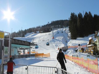 Vakantiepark St. Lorenzen ob Murau Omgeving 20
