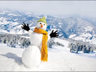 Holiday park St. Lorenzen ob Murau Features 10