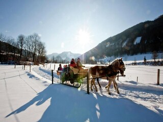 Ferienpark St. Lorenzen ob Murau Umgebung 30