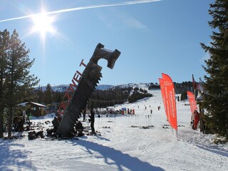 Ferienpark St. Lorenzen ob Murau Umgebung 22