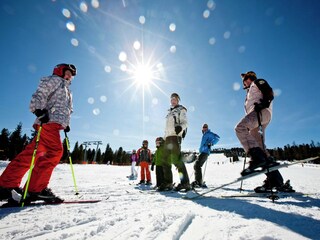 Parque de vacaciones St. Lorenzen ob Murau Entorno 23