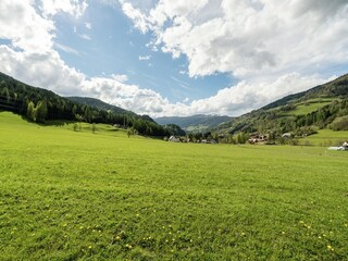 Vakantiepark St. Lorenzen ob Murau Omgeving 25