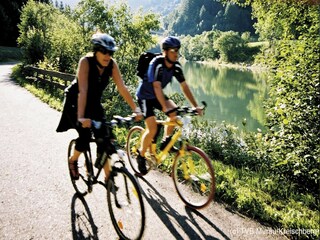 Vakantiepark St. Lorenzen ob Murau Omgeving 18