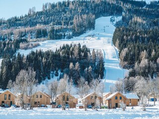 Ferienpark St. Lorenzen ob Murau Umgebung 23