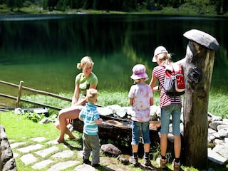 Parc de vacances St. Lorenzen ob Murau Environnement 24