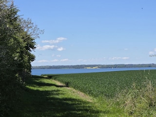 Weg zum Meer