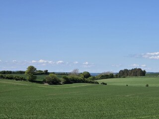 Bed & Breakfast Tranekær Umgebung 17