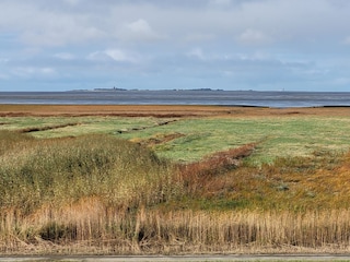 Ausblick auf die Insel Neuwerk