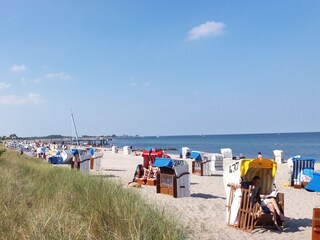Hohwacht beach life