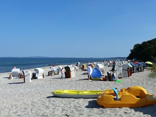strandleben
