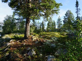 Berghütte Mittel-Norwegen Außenaufnahme 5