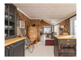 Alpine hut Mittel-Norwegen Features 6