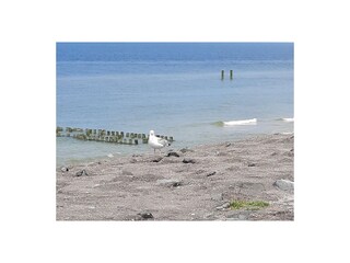 Ferienhaus Aagtekerke Umgebung 8