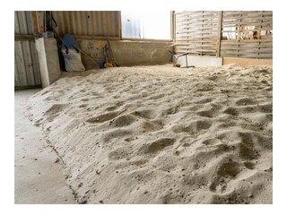 Ferienwohnung Tating Umgebung 34