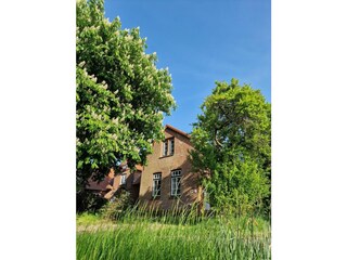 Ferienwohnung Katharinenheerd Außenaufnahme 13