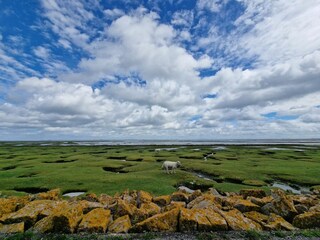 Ferienwohnung Katharinenheerd Außenaufnahme 14