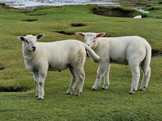 Ferienwohnung Katharinenheerd Außenaufnahme 15