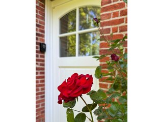 Ferienwohnung Katharinenheerd Außenaufnahme 27