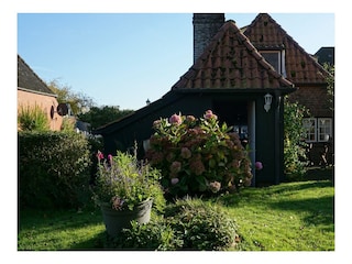 Ferienhaus Oldenswort Außenaufnahme 6