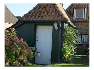 Ferienhaus Oldenswort Außenaufnahme 8