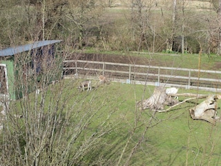 Ferienwohnung Tönning Außenaufnahme 3