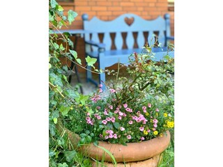 Ferienwohnung St. Peter-Ording Außenaufnahme 5