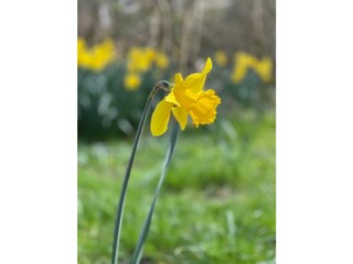 Ferienwohnung St. Peter-Ording Umgebung 19