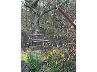 Ferienwohnung St. Peter-Ording Umgebung 17