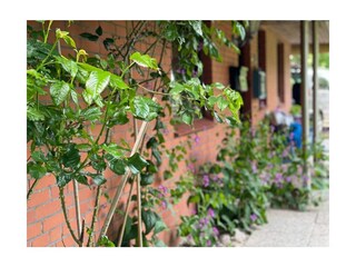 Ferienwohnung St. Peter-Ording Außenaufnahme 4