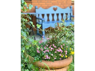 Ferienwohnung St. Peter-Ording Außenaufnahme 6