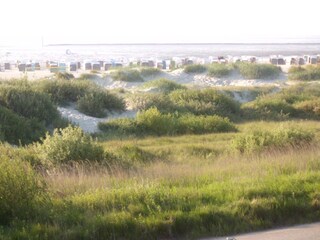 Tolle Dünen und Strand aussicht