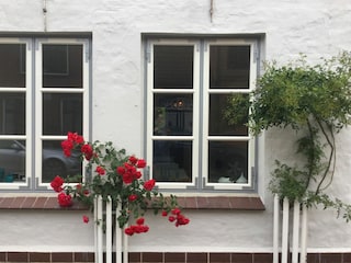 Ferienwohnung Friedrichstadt Außenaufnahme 5