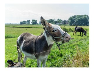Ferienwohnung Poppenbüll Außenaufnahme 6