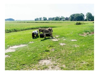 Ferienwohnung Poppenbüll Außenaufnahme 7