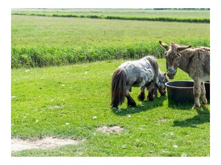 Ferienwohnung Poppenbüll Außenaufnahme 8
